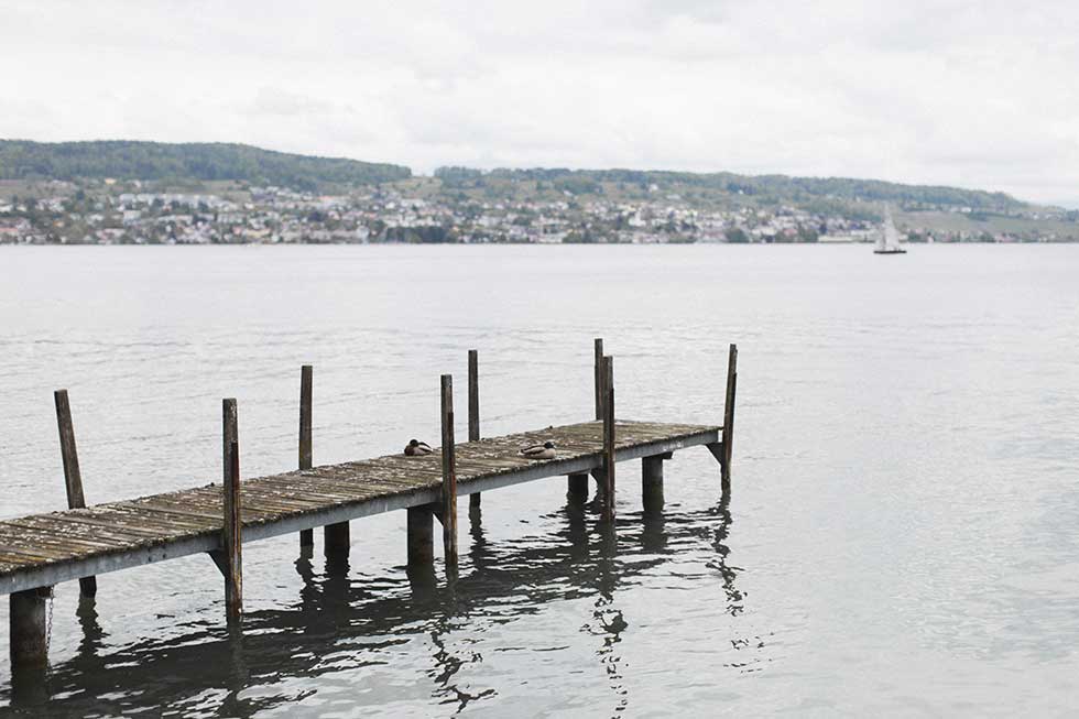 sicht auf den Zürichsee